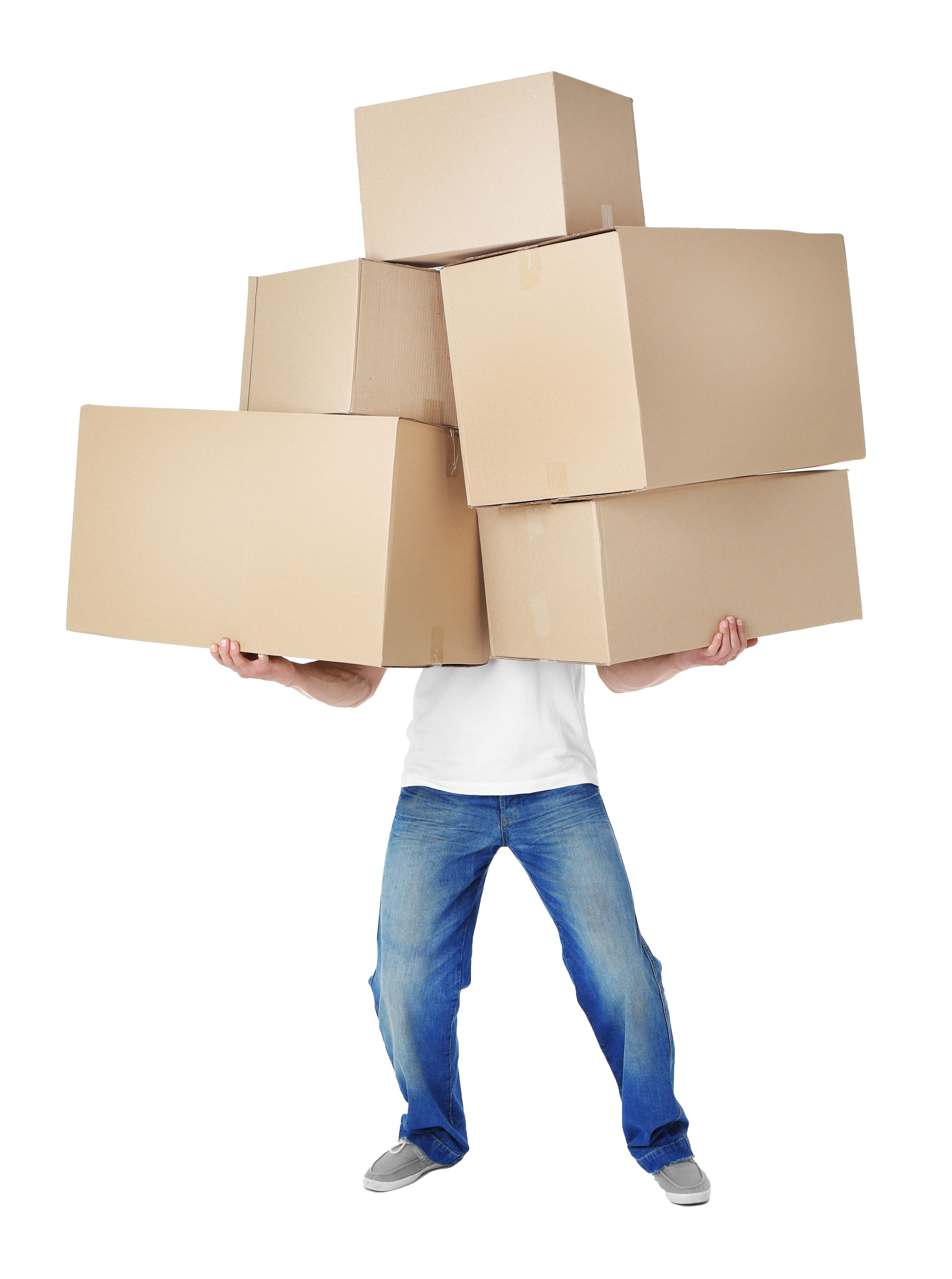 Shutterstock_382955011